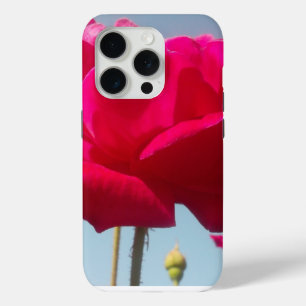Beautiful Lovely Celestial Rose Red Against Blue  iPhone 15 Pro Case