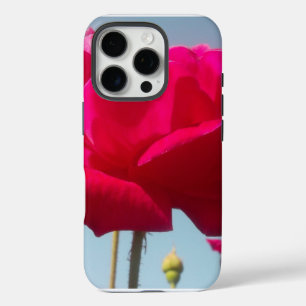 Beautiful Lovely Celestial Rose Red Against Blue  iPhone 16 Pro Case