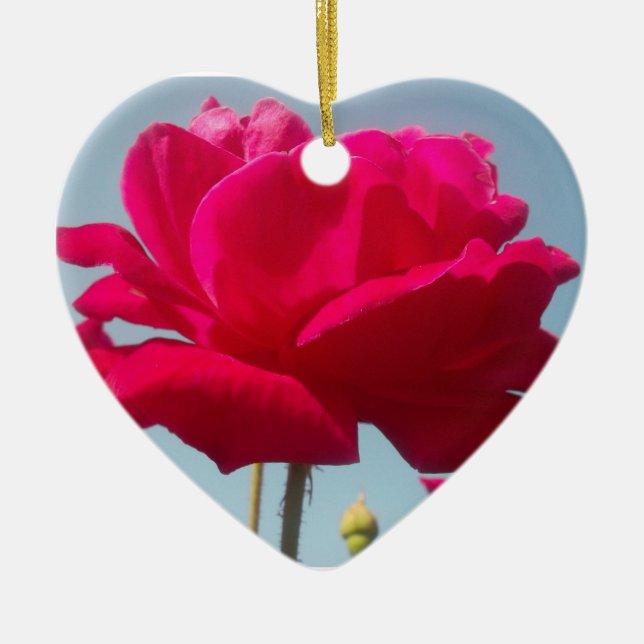 Beautiful Lovely Celestial Rose Red Against Blue  Ceramic Ornament (Front)