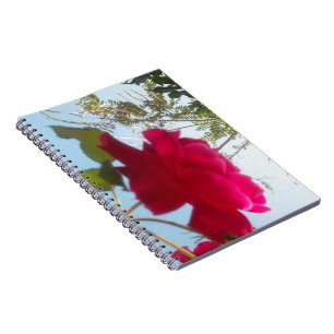 Beautiful Lovely Celestial Rose: Red Against Blue Notebook