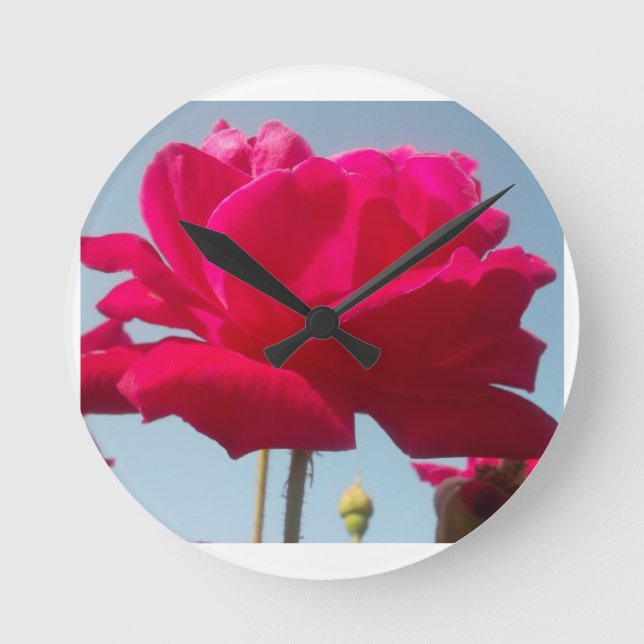 Beautiful Lovely Celestial Rose Red Against Blue  Round Clock (Front)