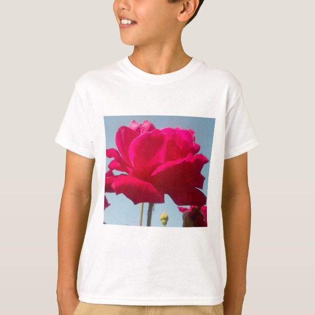Beautiful Lovely Celestial Rose Red Against Blue  T-Shirt (Front)