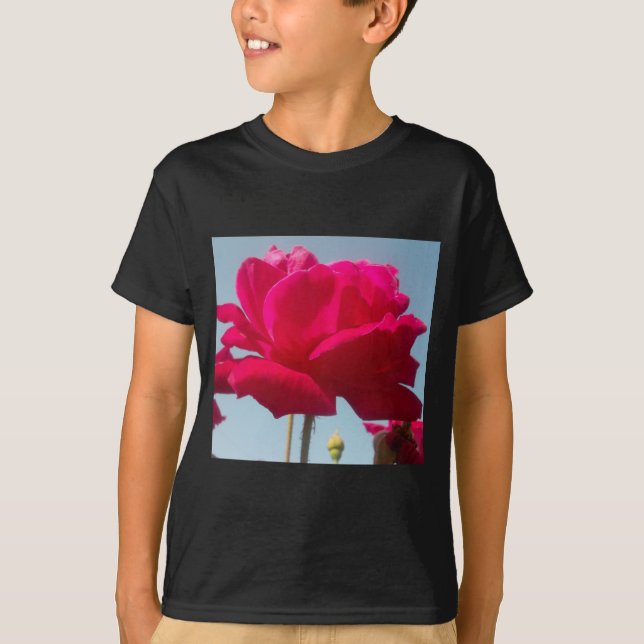 Beautiful Lovely Celestial Rose Red Against Blue  T-Shirt (Front)