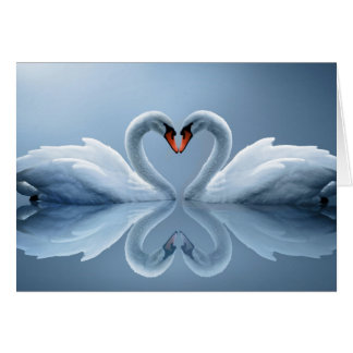 Beautiful Loving Swans gifts