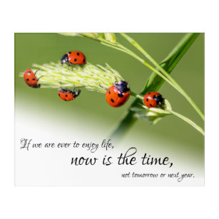 Beautiful lucky ladybugs with motivational quote acrylic print