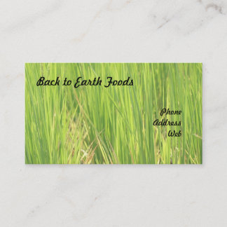 Beautiful Lush Green Rice Field Business Card