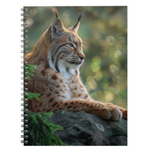 Beautiful lynx relaxing on a rock notebook