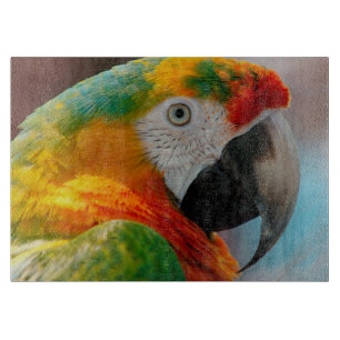 Beautiful Macaw Cutting Board