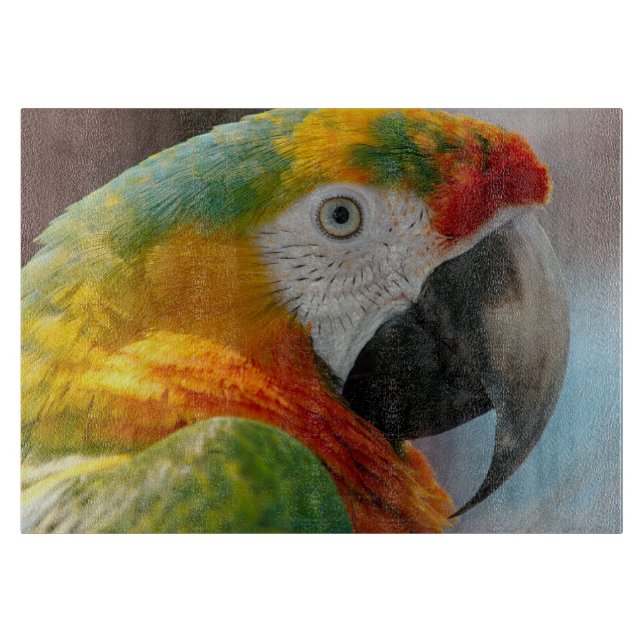 Beautiful Macaw Cutting Board (Front)