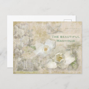 Beautiful Magnolia Vintage Collage Postcard