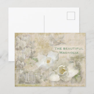 Beautiful Magnolia Vintage Collage Postcard