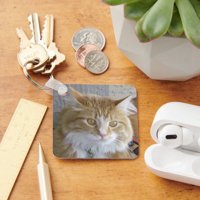 Beautiful Maine Coon Kitten Photograph Key Ring (Desk)