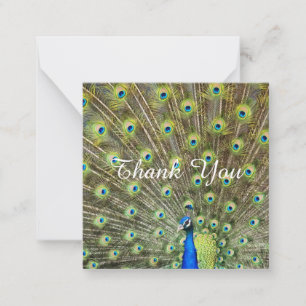 Beautiful majestic peacock Thank You Card