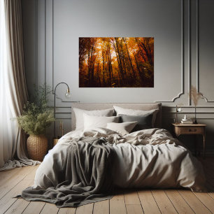 Beautiful Majestic Trees In Autumn Forest Poster