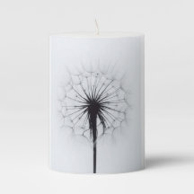 beautiful make a wish candle