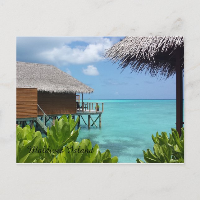 Beautiful Maldives Islands Postcard (Front)