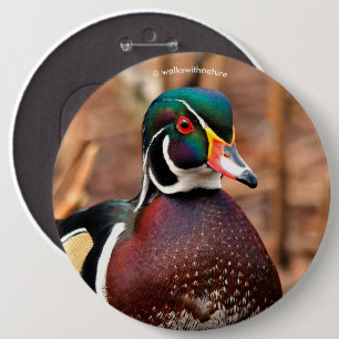 Beautiful Male Wood Duck in the Woods 6 Cm Round Badge