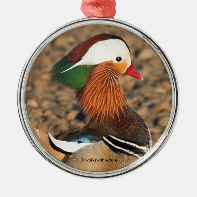 Beautiful Mandarin Duck on the Rocks Metal Ornament (Front)