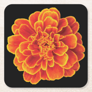 Beautiful Marigold Coaster Set