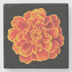 Beautiful Marigold Stone Coaster