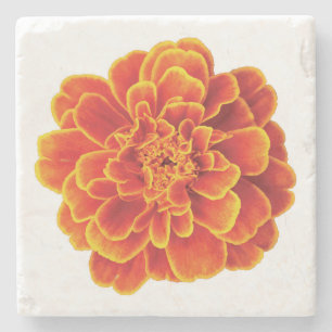 Beautiful Marigold Stone Coaster
