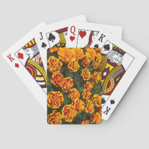 Beautiful Marigolds Deck of Playing Cards