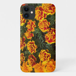 Beautiful Marigolds iPhone Case