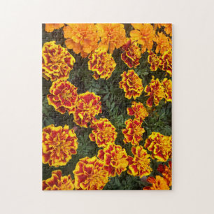 Beautiful Marigolds Jigsaw Puzzle