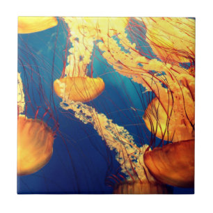 Beautiful Marine Life: Golden Jellyfish Ceramic Tile