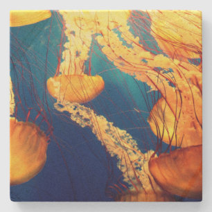 Beautiful Marine Life: Golden Jellyfish Stone Coaster