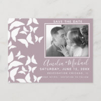 Beautiful Mariposas White Blush Photo