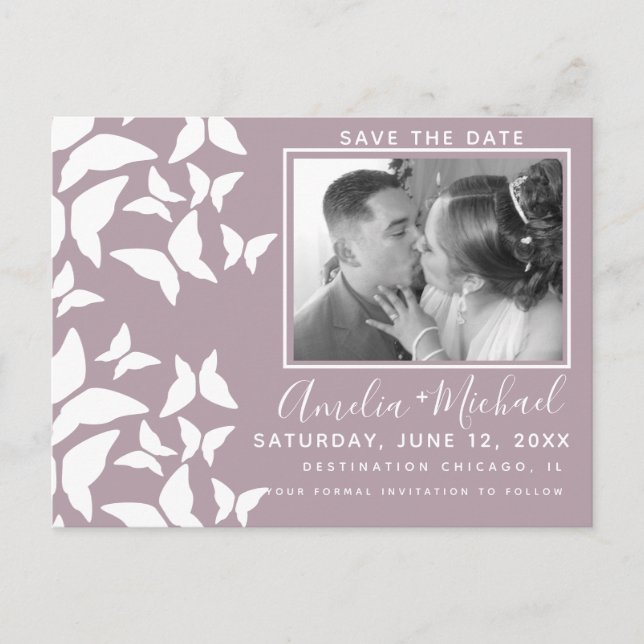 Beautiful Mariposas White Blush Photo Postcard (Front)