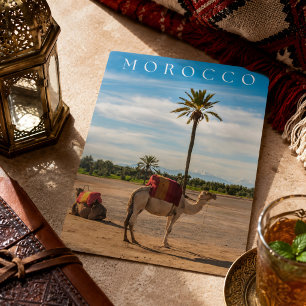 Beautiful Marrakech Camel Desert Adventure Holiday Postcard