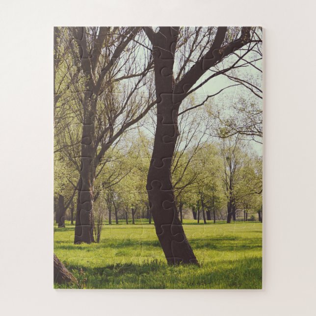 Beautiful Meadow Jigsaw Puzzle (Vertical)