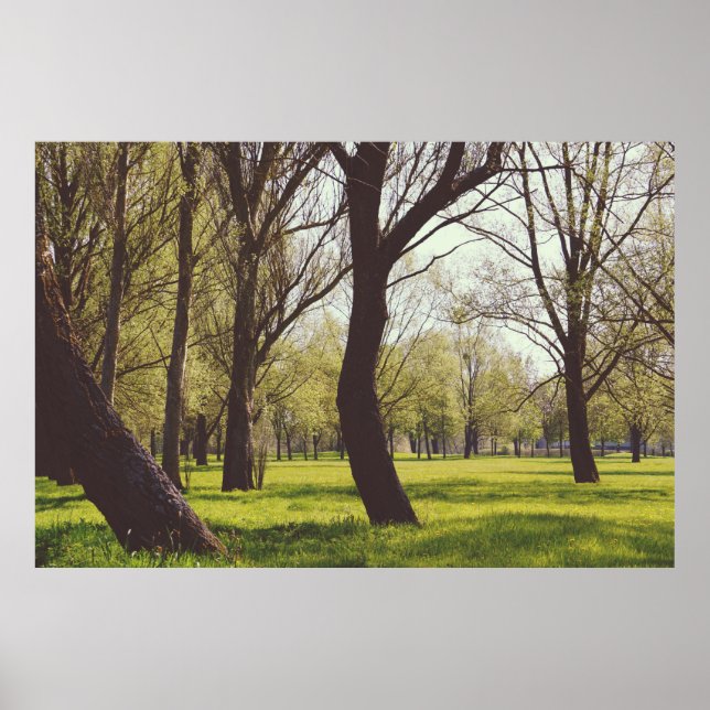 Beautiful Meadow Poster (Front)