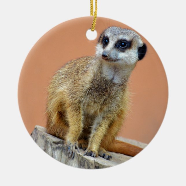 Beautiful meerkat ceramic tree decoration (Front)