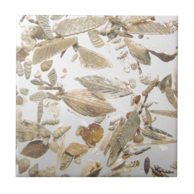 Beautiful microfossils photo pattern ceramic tile (Front)
