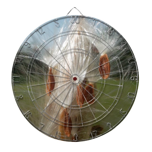 Beautiful Milkweed Magic: A Skyward Flight Design Dartboard (Front)