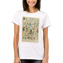 Beautiful Millot Fleur Illistration Print