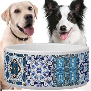 🤩 Beautiful mix of Azulejos dog