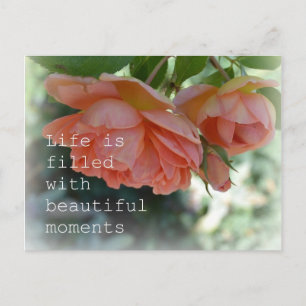 Beautiful Moments Roses Post Card