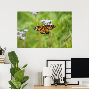 Beautiful Monarch Butterfly Flower Photography Art Poster