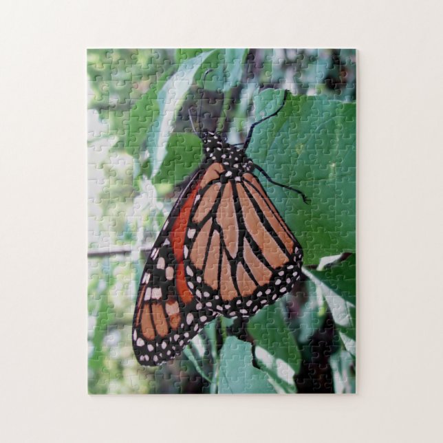 Beautiful Monarch Butterfly Jigsaw Puzzle (Vertical)