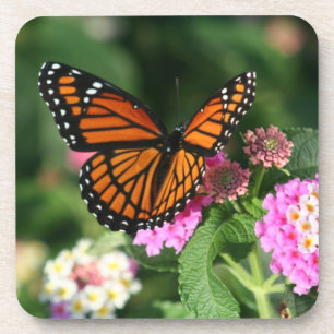 Beautiful Monarch Butterfly on Flowers.Coasters Coaster