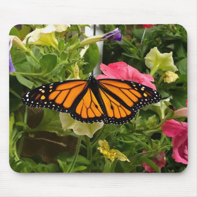 Beautiful Monarch Butterfly Spread Wings Petunia Mouse Pad (Front)