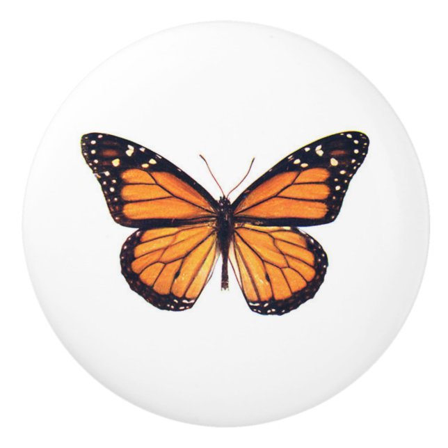 Beautiful Monarch Butterfly vintage art Ceramic Knob (Front)