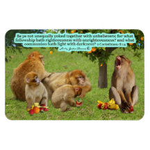 Beautiful Monkey Scripture 2 Corinthians 6:14