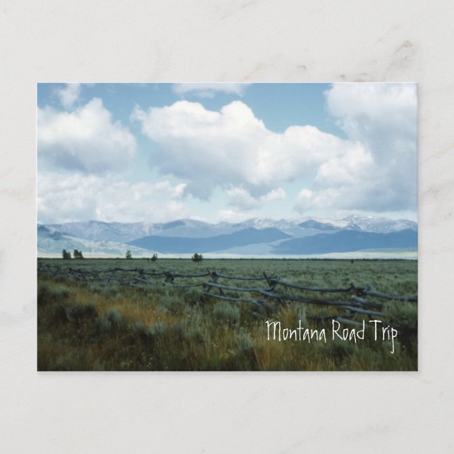 Beautiful Montana Landscape Postcard (Front)