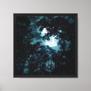 Beautiful Moon Glow Though Trees Canvas Print