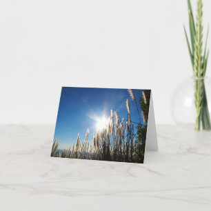 Beautiful Morning Grass Notecard